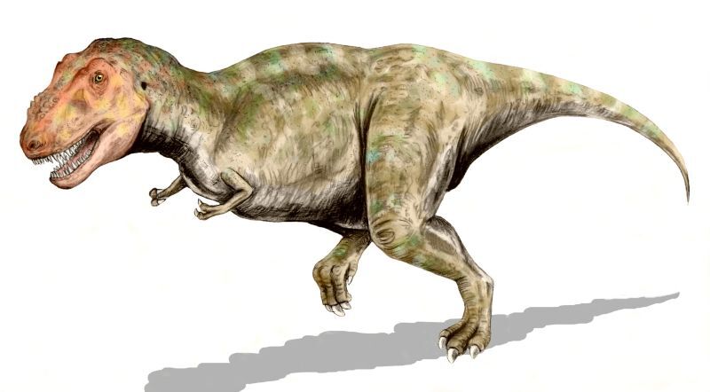 Cretaceous