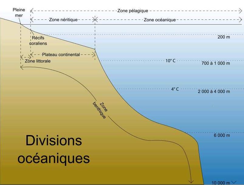 Divisions océaniques