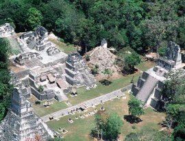 Les ruines de Tikal