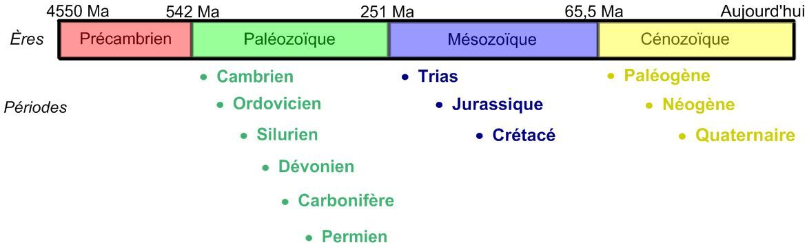 Ligne du temps