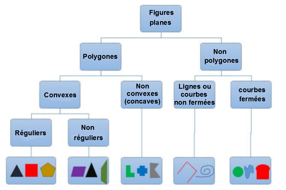 Les polygones | Alloprof