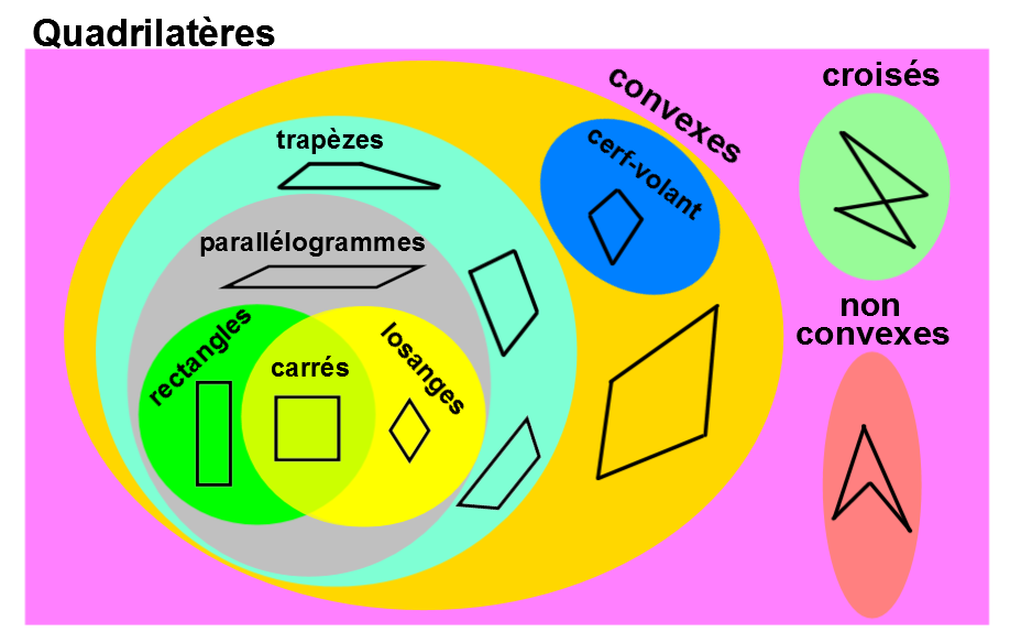 Les Quadrilatères | Alloprof