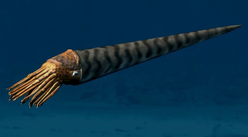 Ordovician