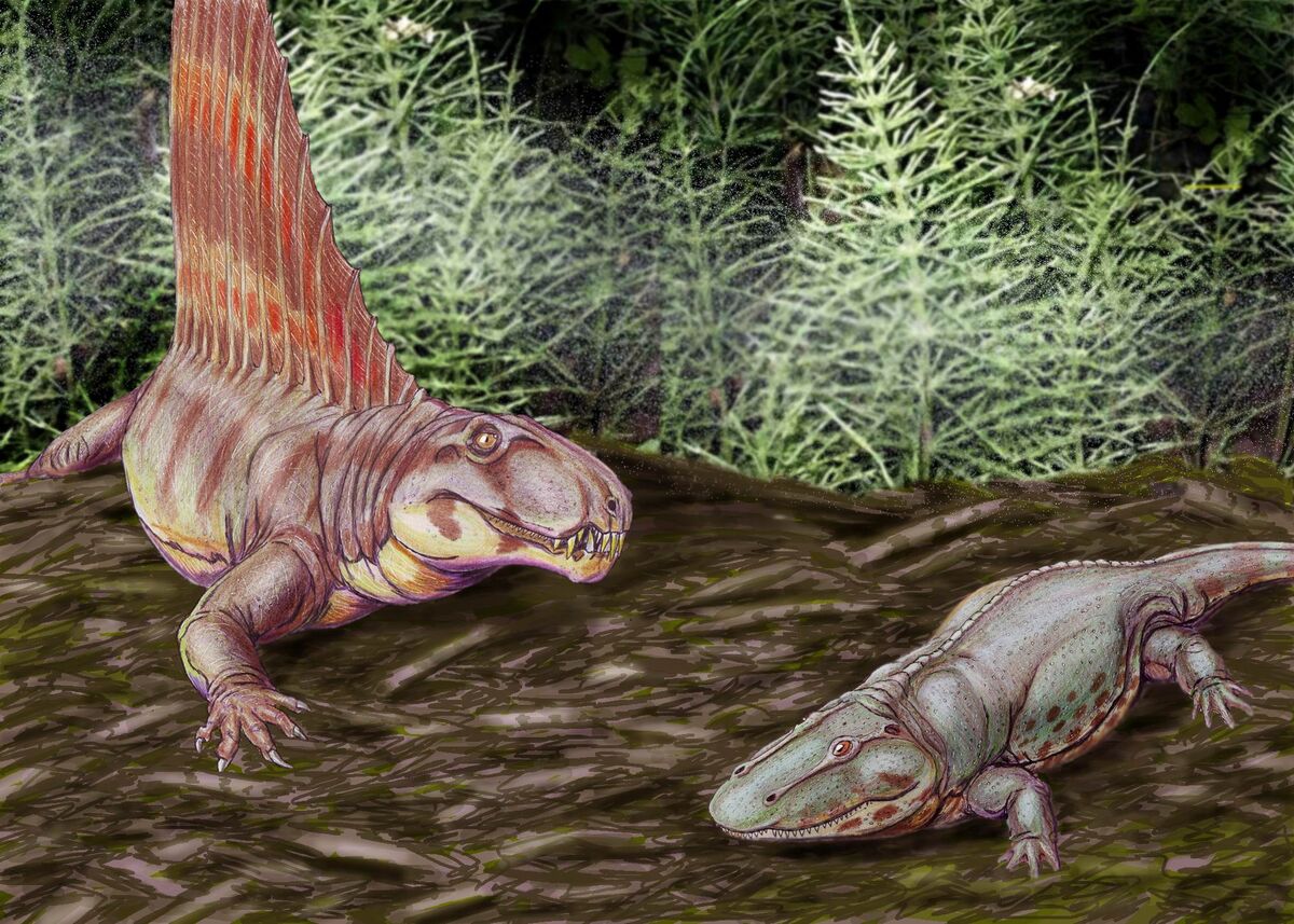 Permian