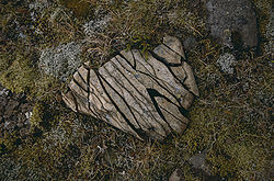 Rock fragmented by frost wedging