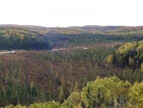 A typical landscape of the Canadian Shield