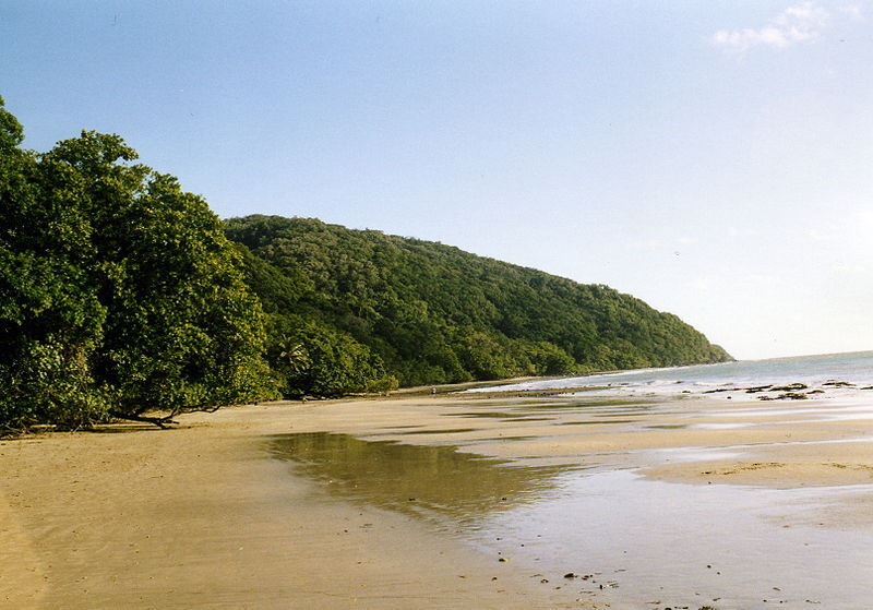 Sandy coastal area