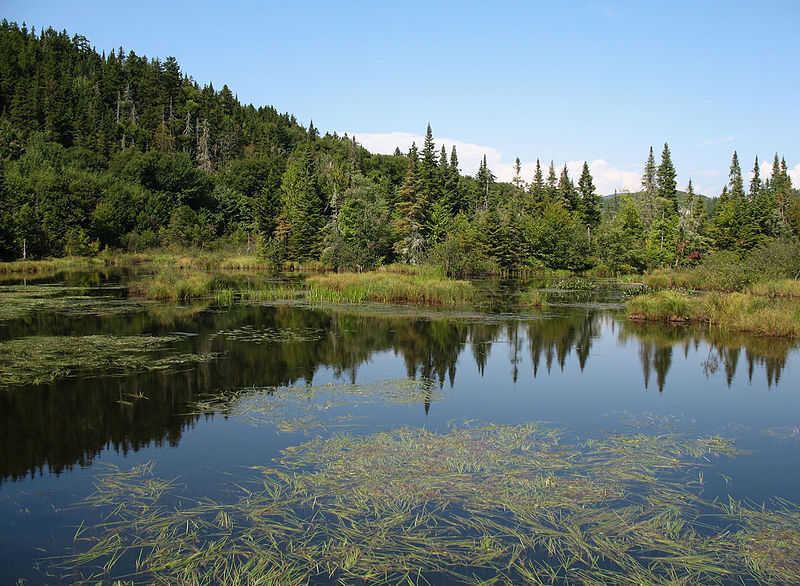 Marais du Nord