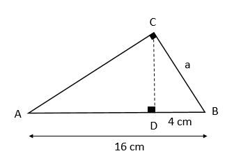 Les Relations Métriques Dans Le Triangle Rectangle | Secondaire | Alloprof