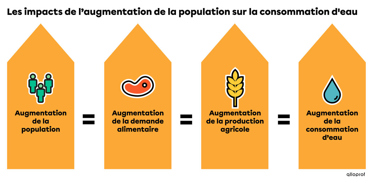 Schéma expliquant les conséquences de l’augmentation de la population sur la consommation d’eau. 