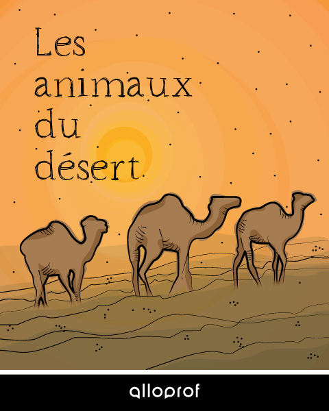 Les animaux du désert