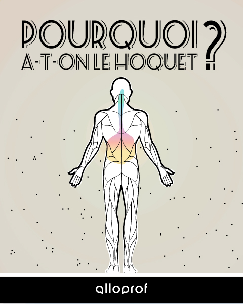 Pourquoi a-t-on le hoquet