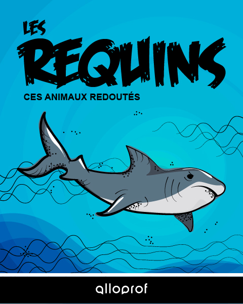 Les requins