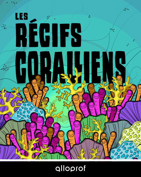 Les récifs coraliens