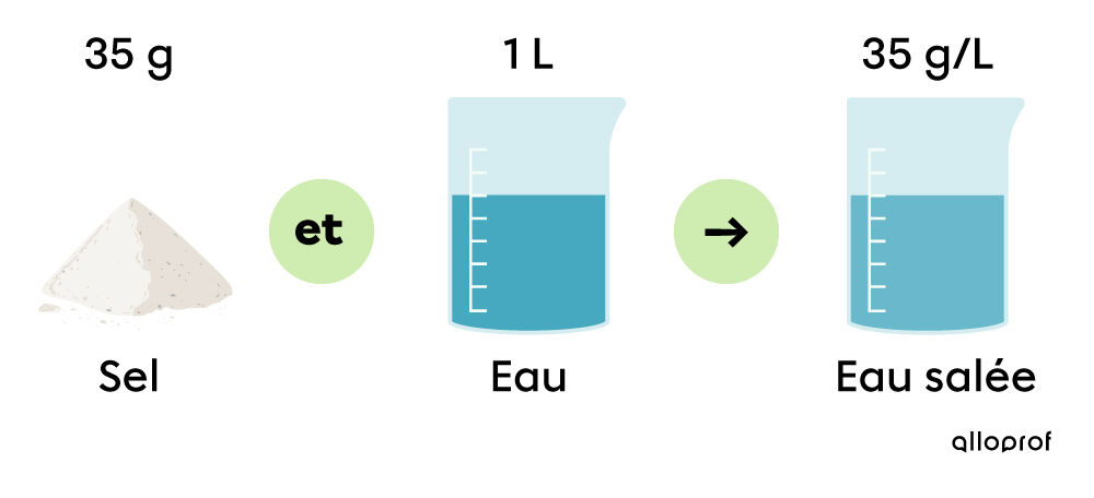 La salinité de l'eau | Alloprof