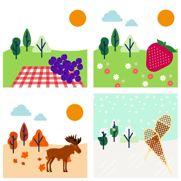 ilnu-tshishtekahikan