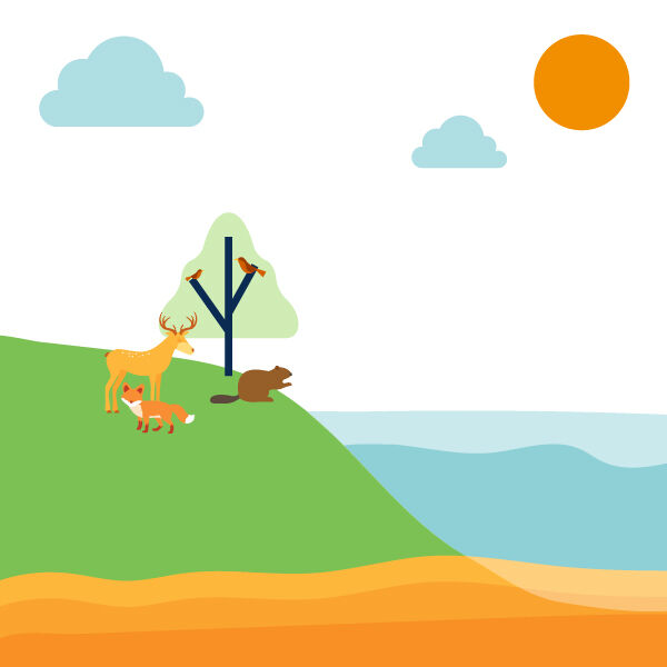 kassinu tshekuan ka takutsh assits kie uashkuts