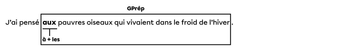 Dans la phrase « J'ai pensé aux pauvres oiseaux qui vivaient dans le froid de l'hiver. », le déterminant contracté « aux » est formé de la préposition « à » et du déterminant « les », et il introduit le groupe prépositionnel « aux oiseaux qui vivaient dans le froid de l’hiver».