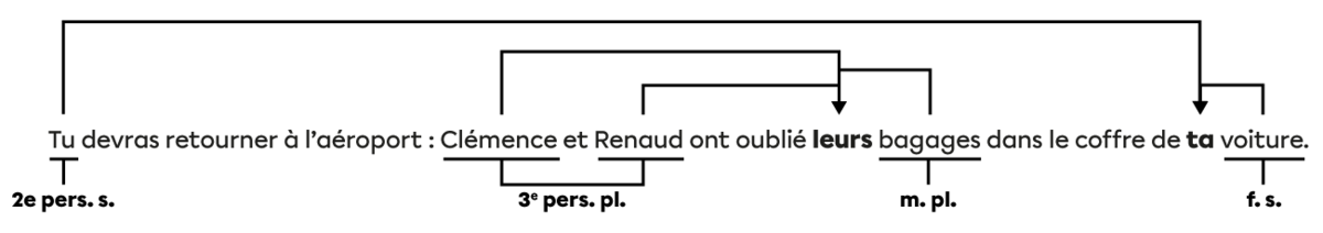 Dans la phrase « Tu devras retourner à l’aéroport : Clémence et Renaud ont oublié leurs bagages dans le coffre de ta voiture. », Le déterminant « leurs » reçoit son accord des noms « bagages », « Clémence » et « Renaud ». Le déterminant « ta » reçoit son accord du nom « voiture » et du pronom « Tu ».