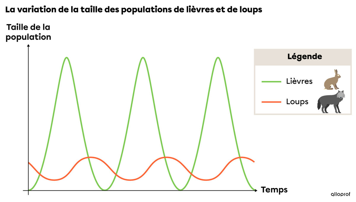 La variation de la taille des populations de lièvres et de loups, influencée par les cycles biologiques et les facteurs biotiques et abiotiques