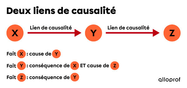 Schéma illustrant deux liens de causalité