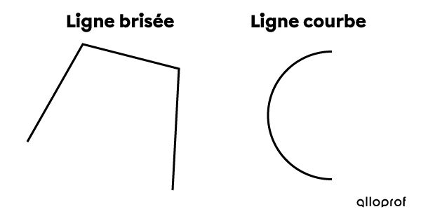 Exemples de ligne brisée et de ligne courbe