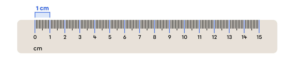 1 cm on a ruler.