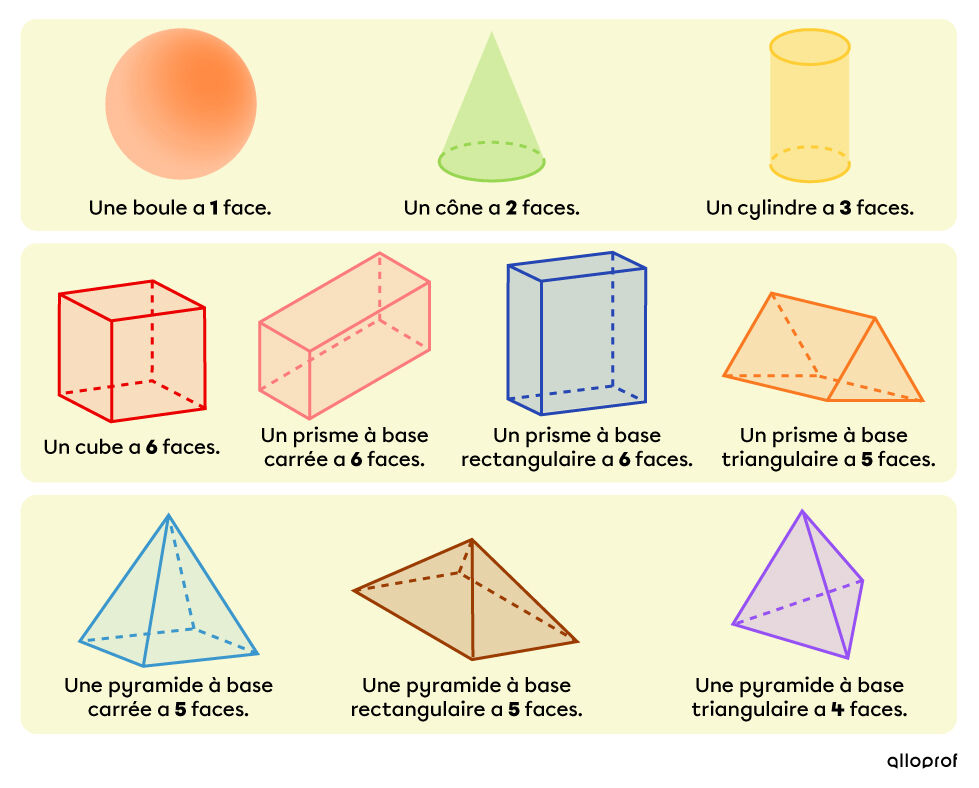 Les faces des solides