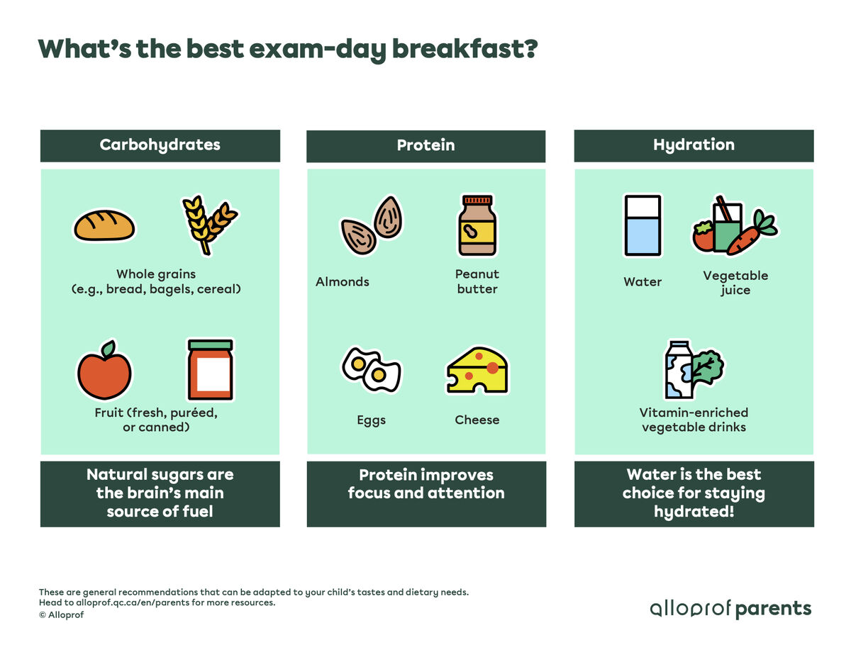 Exam preparation Alloprof