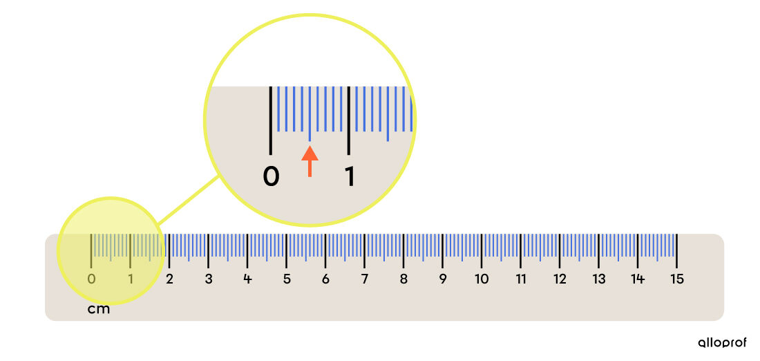 5 mm on a ruler.