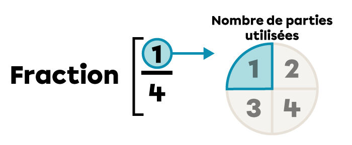 Exemple du nombre de parties utilisées de la fraction un quart