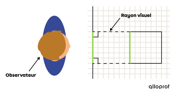 Orientation des rayons visuels dans une projection à vues multiples