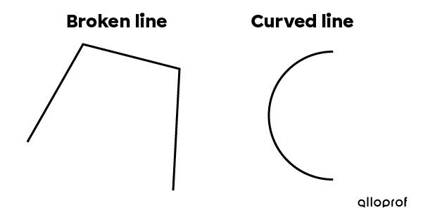 Examples of broken and curved lines