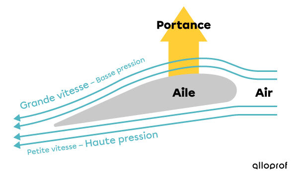 La portance générée par une aile d’avion, expliquée par le principe de Bernoulli