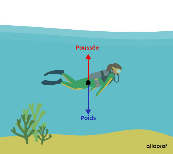 La répartition de la force de poussée et du poids sur un objet qui se maintient à une même profondeur