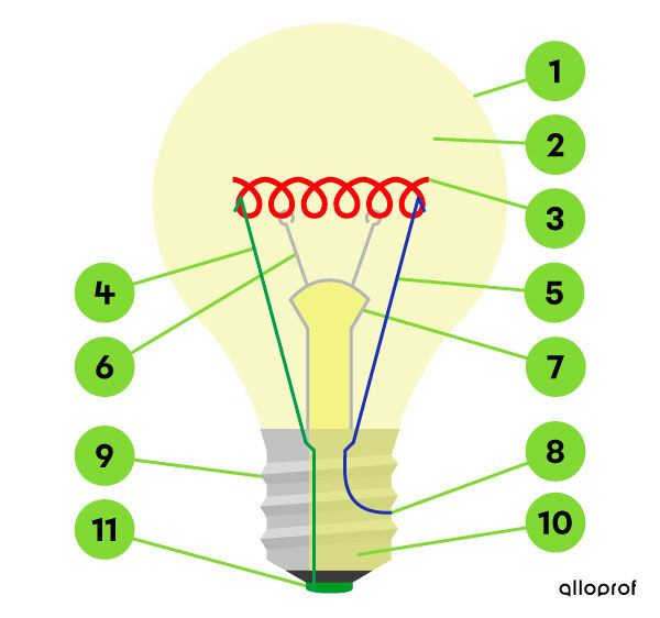 Identification des composants de l’ampoule incandescente