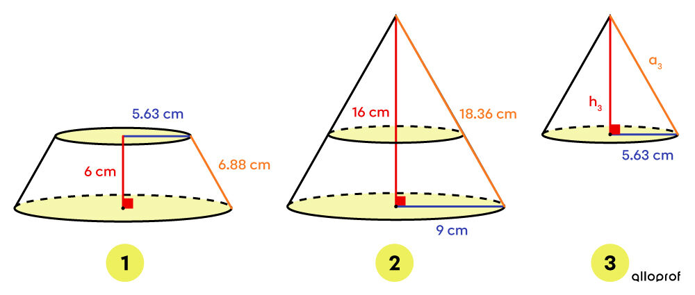 Trunk of the cone, complete (initial) cone and the truncated portion of the initial cone