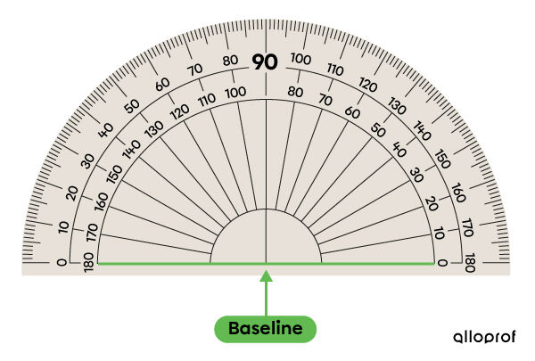 The Baseline on a Protractor.