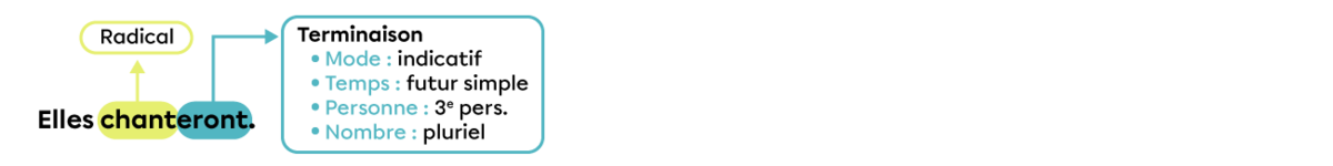 Dans le verbe « chanteront », « chant » est le radical, puisqu’il exprime le sens du verbe. La terminaison est«  -eront », puisque c’est ce qui nous indique que le verbe est conjugué à l’indicatif futur simple, à la 3e personne du pluriel.