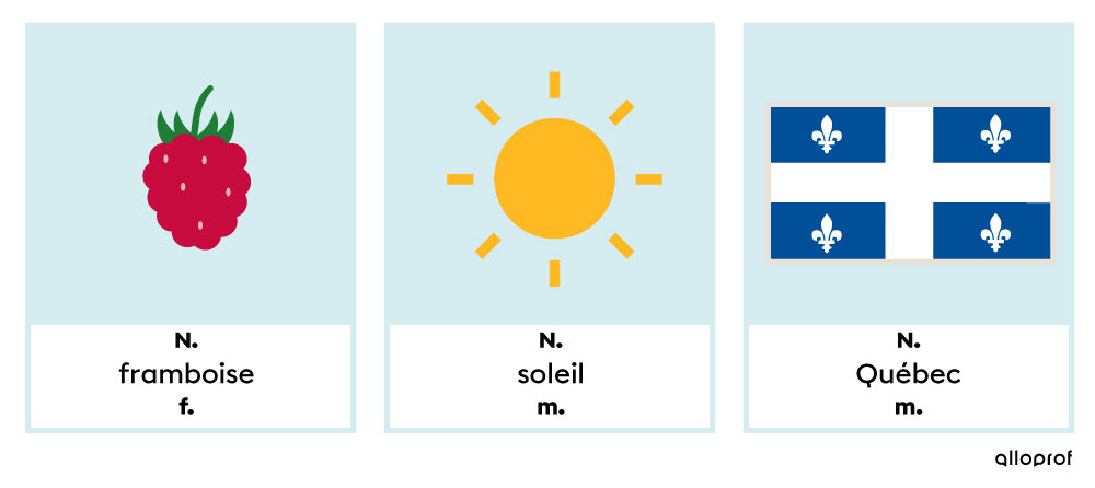 Les mots « framboise », « soleil » et « Québec » ont un seul genre.