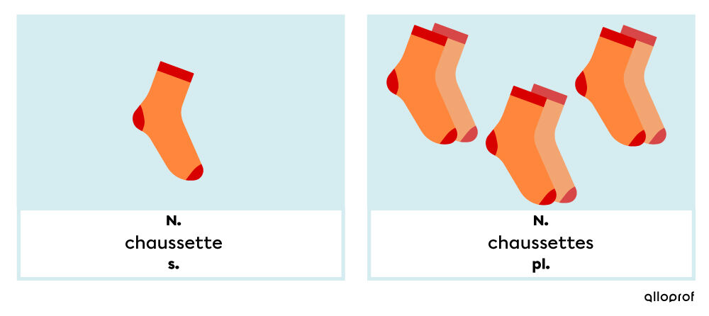 Le mot « chaussette » est singulier lorsqu’il y a une seule chaussette et pluriel lorsqu’il y a plusieurs chaussettes.