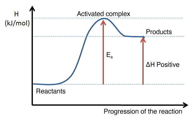 endothermic and exothermic reaction graph