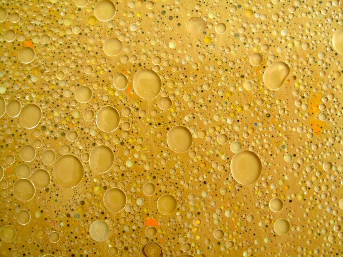 Under the microscope, we see that bubbles of fat are in suspension in the aqueous medium of the milk.