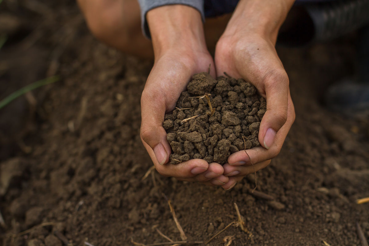 A humic soil is a heterogeneous mixture.