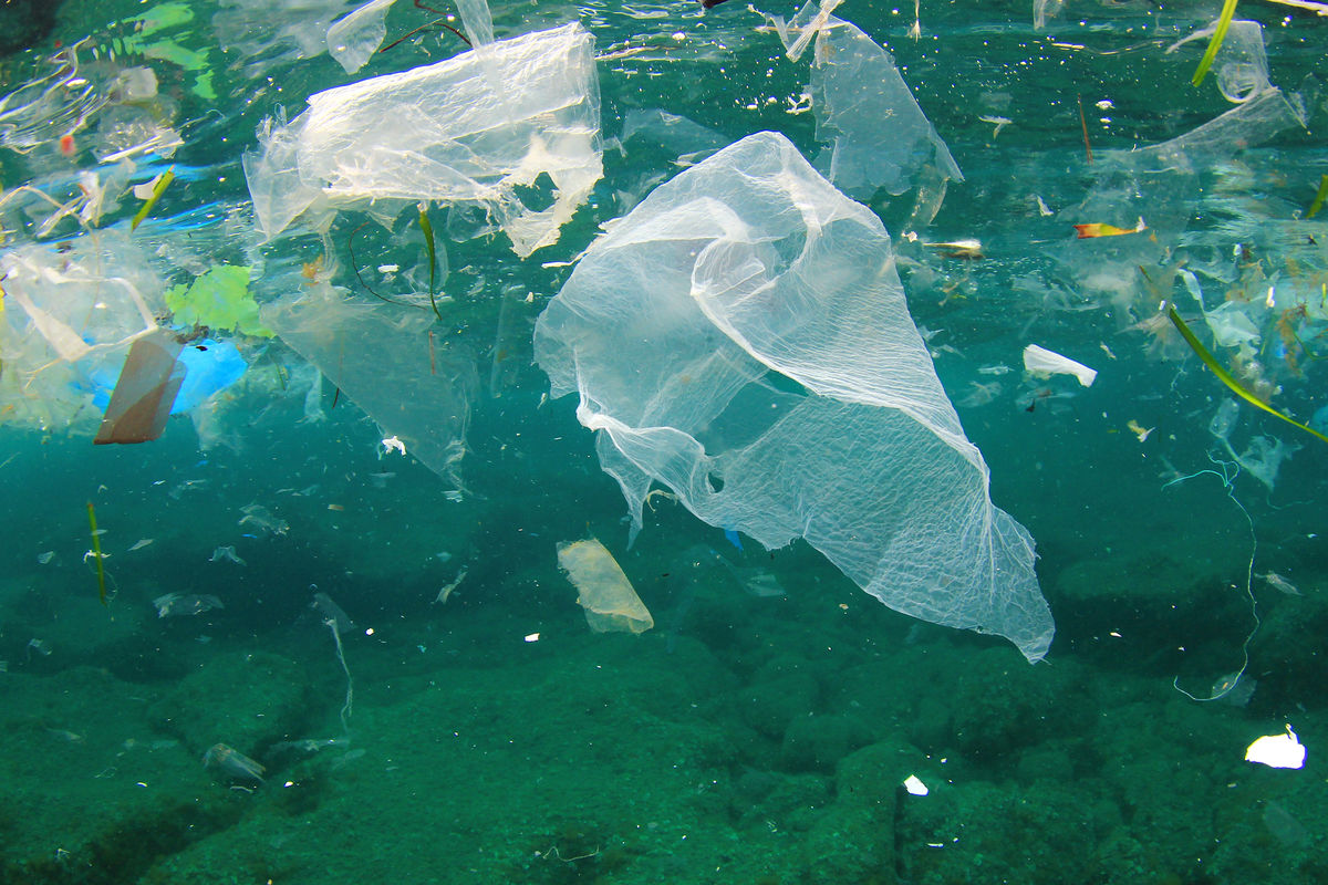 La pollution de l’eau par les déchets de plastique