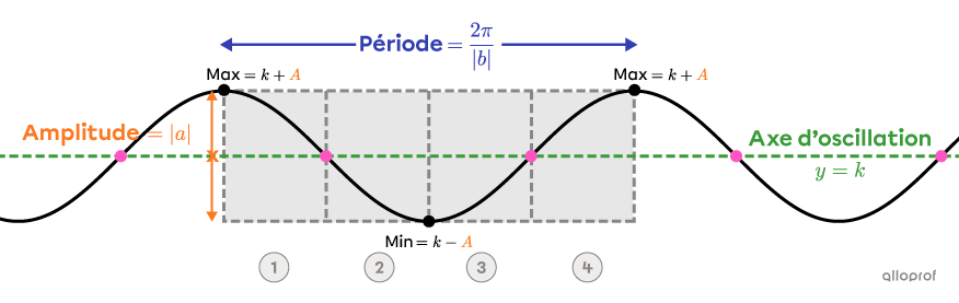 La période, l’axe d’oscillation, les points d’inflexion et l’amplitude d’une fonction cosinus