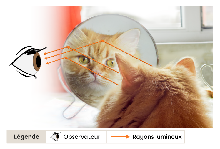 Le miroir est une surface parfaitement lisse, alors la lumière est réfléchie de façon parallèle vers l’œil de l’observateur.