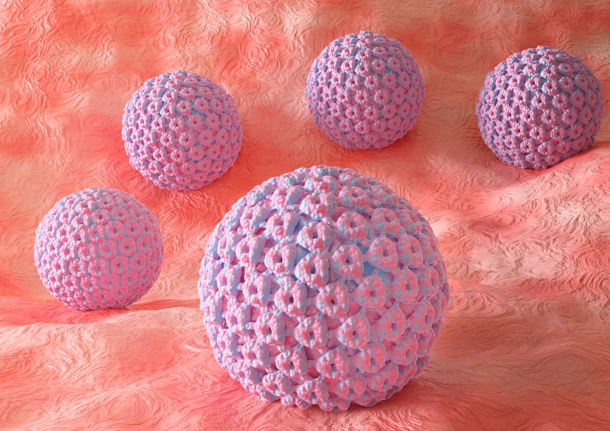 Representation of the HPV virus as a textured ball.