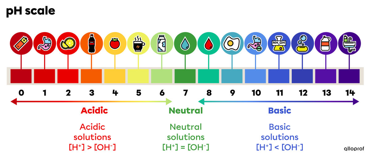 PH scale with several examples