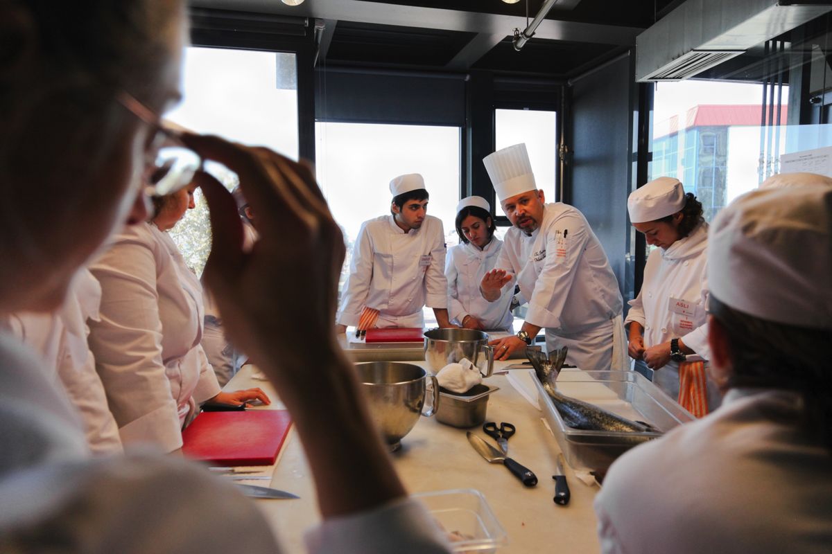 Why choose vocational training?